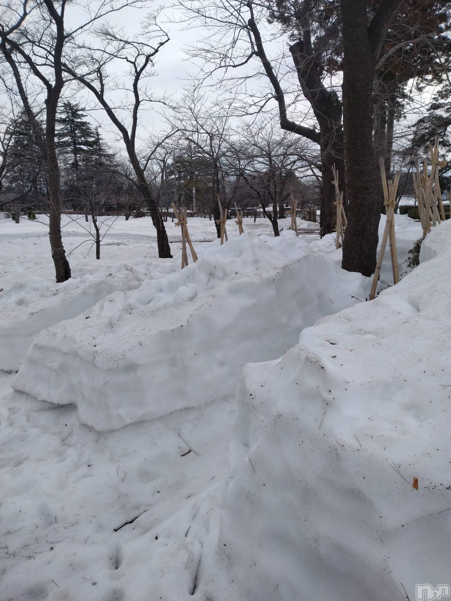 長岡デリヘル人妻楼　長岡店(ヒトヅマロウ　ナガオカテン)なな(43)の2026年2月28日写メブログ「まだ⛄️が」