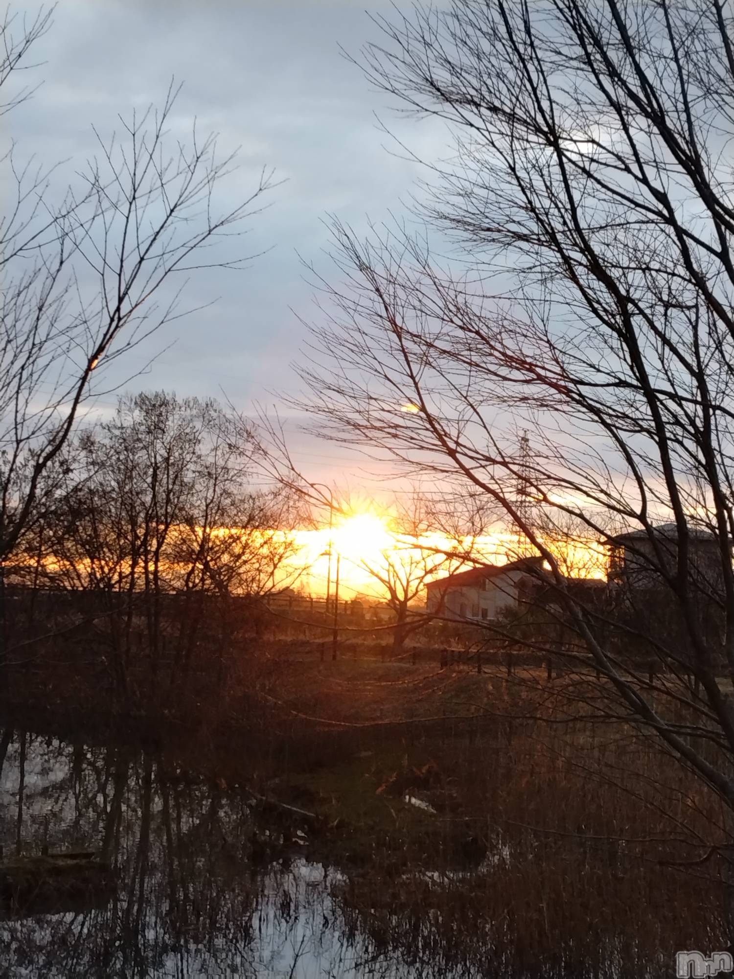 長岡デリヘル人妻楼　長岡店(ヒトヅマロウ　ナガオカテン)なな(43)の2026年3月12日写メブログ「この後携帯が！」