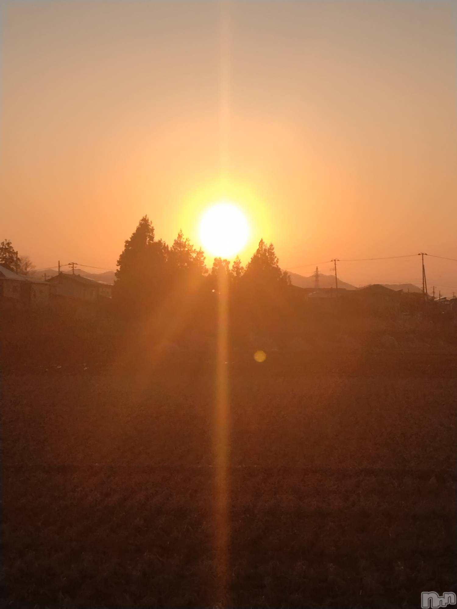 長岡デリヘル人妻楼　長岡店(ヒトヅマロウ　ナガオカテン)なな(43)の2026年3月20日写メブログ「ブログのタイトルも！」