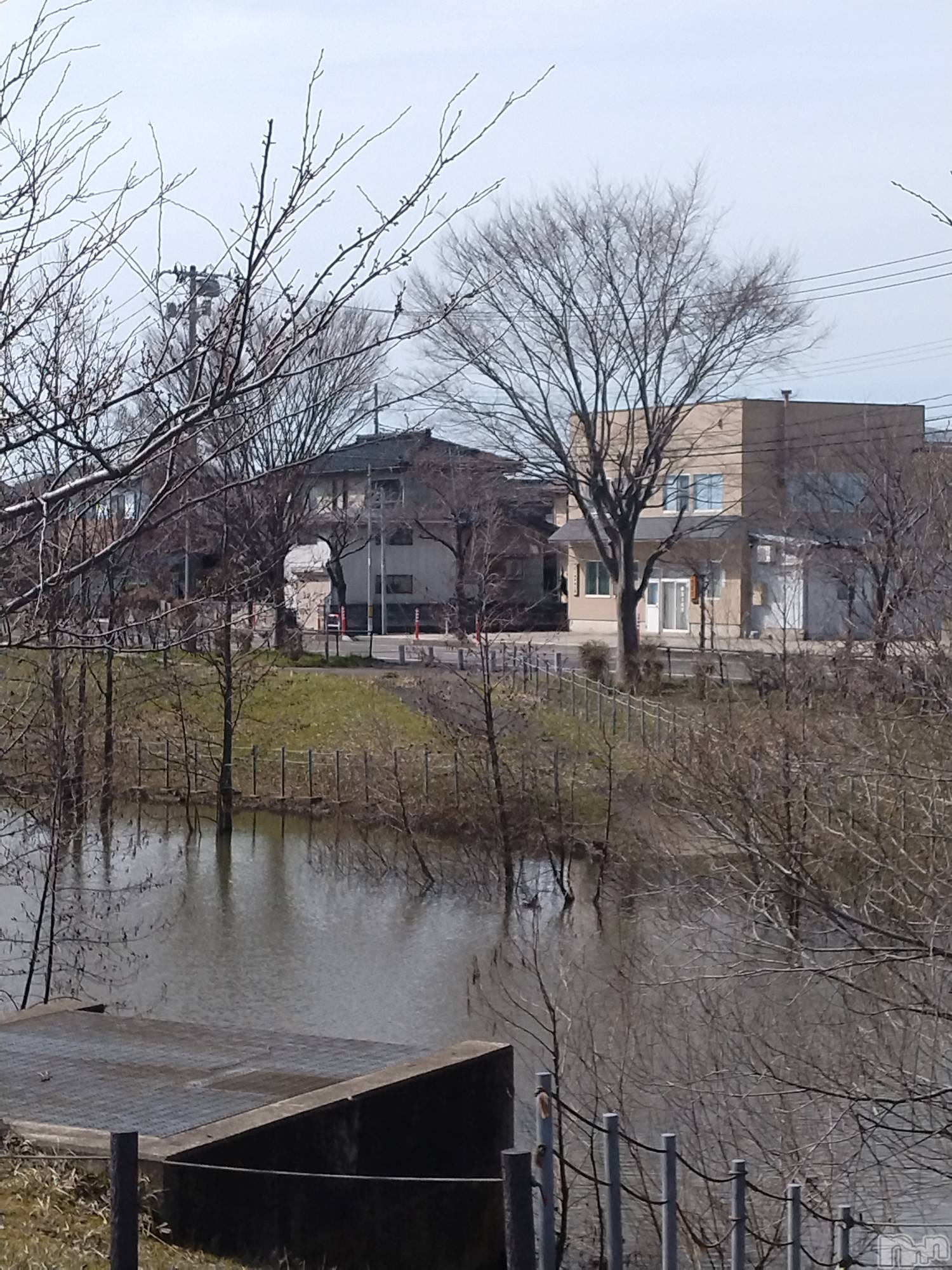 長岡デリヘル人妻楼　長岡店(ヒトヅマロウ　ナガオカテン)なな(43)の2026年3月21日写メブログ「やる事」