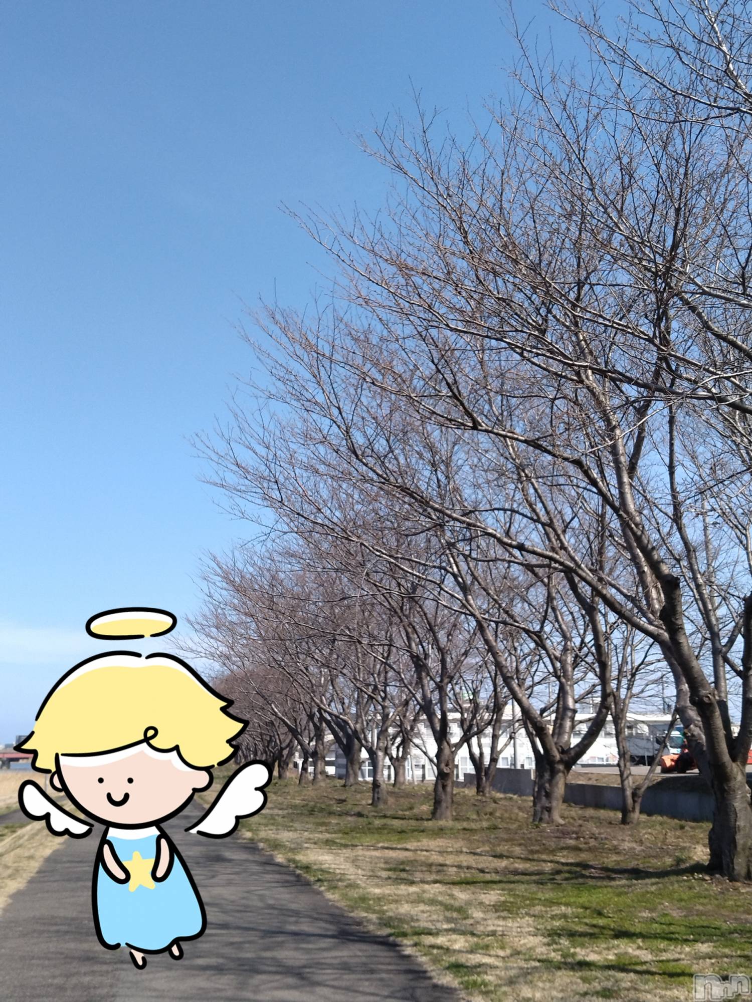 長岡デリヘル人妻楼　長岡店(ヒトヅマロウ　ナガオカテン)なな(43)の2026年3月25日写メブログ「常連客の一人」