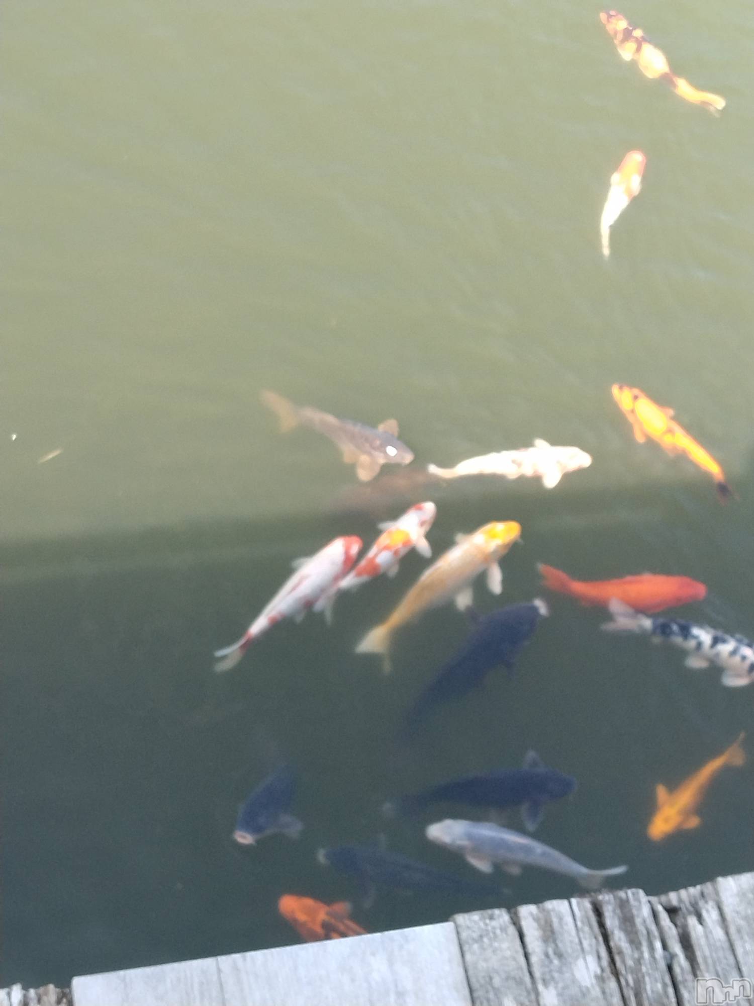 長岡デリヘル人妻楼　長岡店(ヒトヅマロウ　ナガオカテン)なな(43)の2026年3月26日写メブログ「小千谷市の」