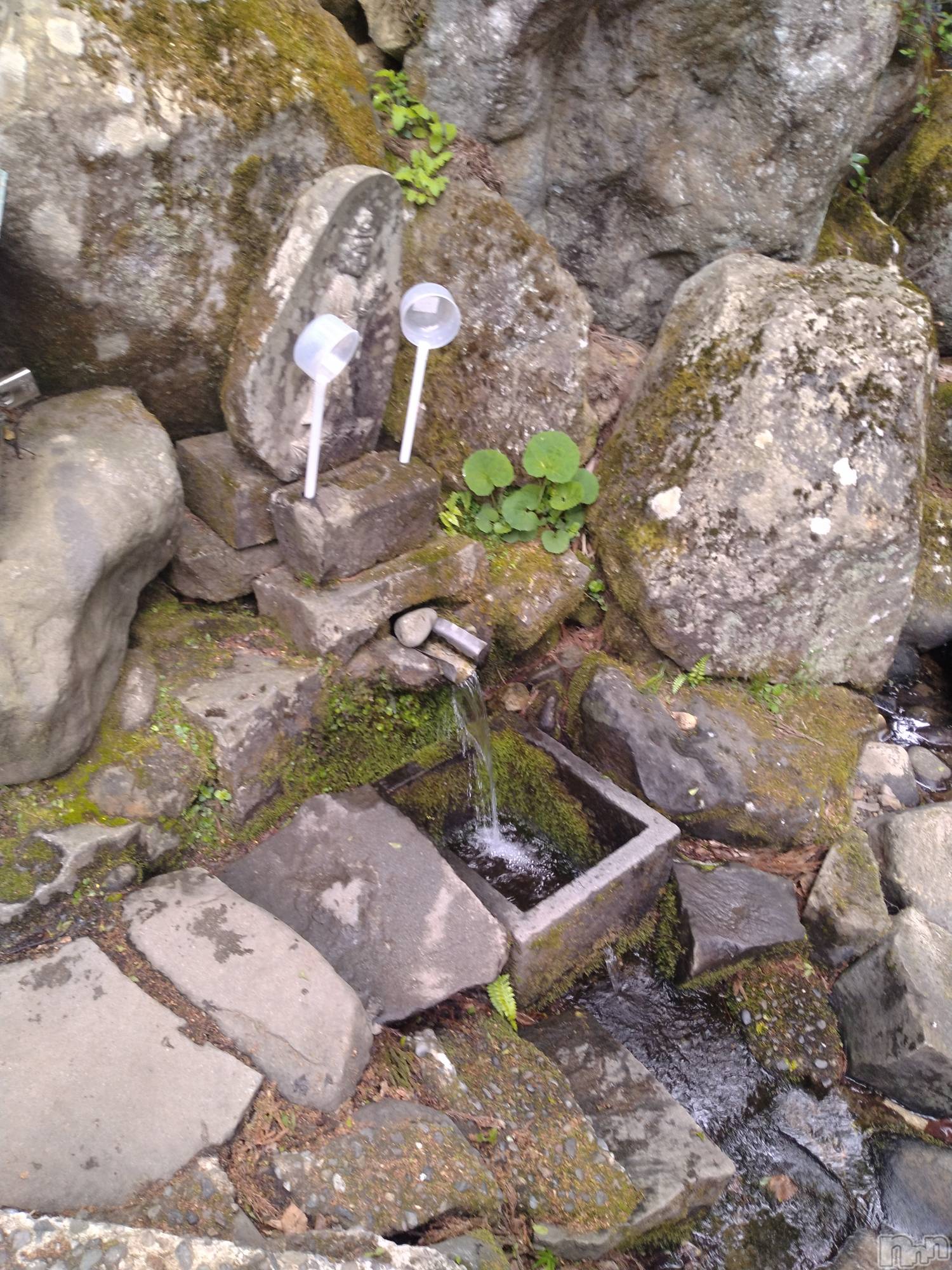 長岡デリヘル人妻楼　長岡店(ヒトヅマロウ　ナガオカテン)なな(43)の2026年4月28日写メブログ「湧き水」