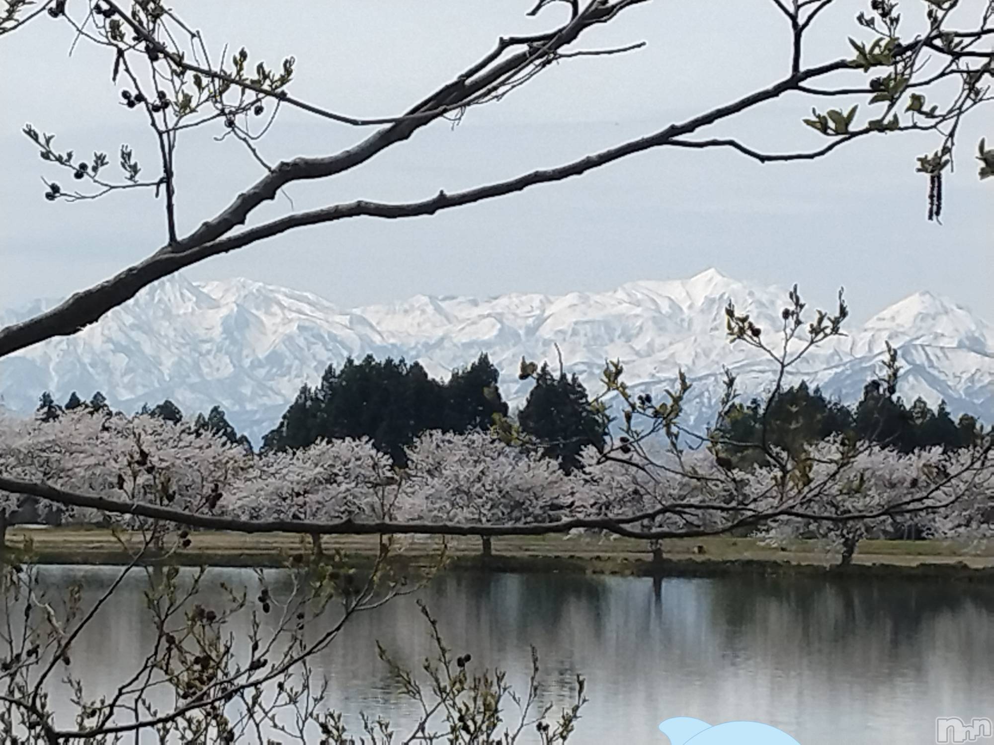 長岡デリヘル人妻楼　長岡店(ヒトヅマロウ　ナガオカテン)なな(43)の2026年4月29日写メブログ「私が見た中で」