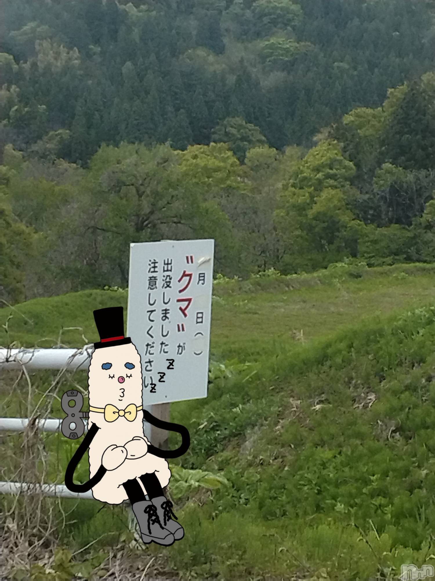 長岡デリヘル人妻楼　長岡店(ヒトヅマロウ　ナガオカテン)なな(43)の2026年5月2日写メブログ「熊が出る？🐻」