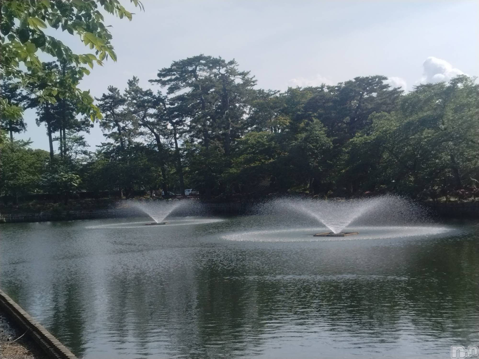 長岡デリヘル人妻楼　長岡店(ヒトヅマロウ　ナガオカテン)なな(43)の2026年6月14日写メブログ「「石か❓️」と思いきや」