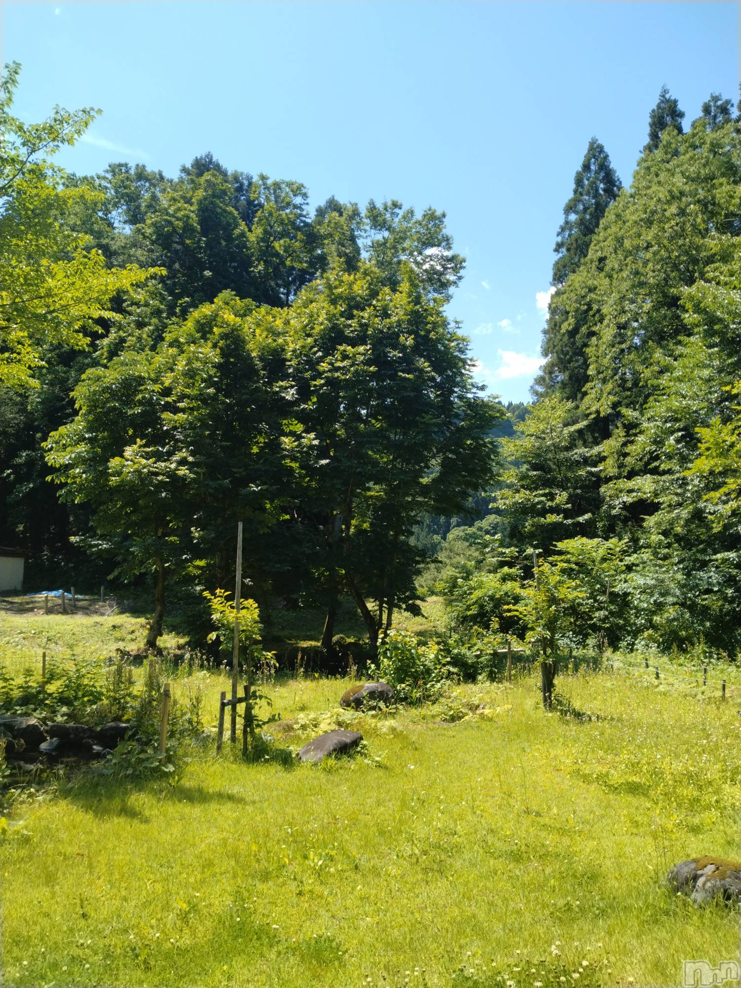 長岡デリヘル人妻楼　長岡店(ヒトヅマロウ　ナガオカテン)なな(43)の2026年6月14日写メブログ「ドアを空けたら…」