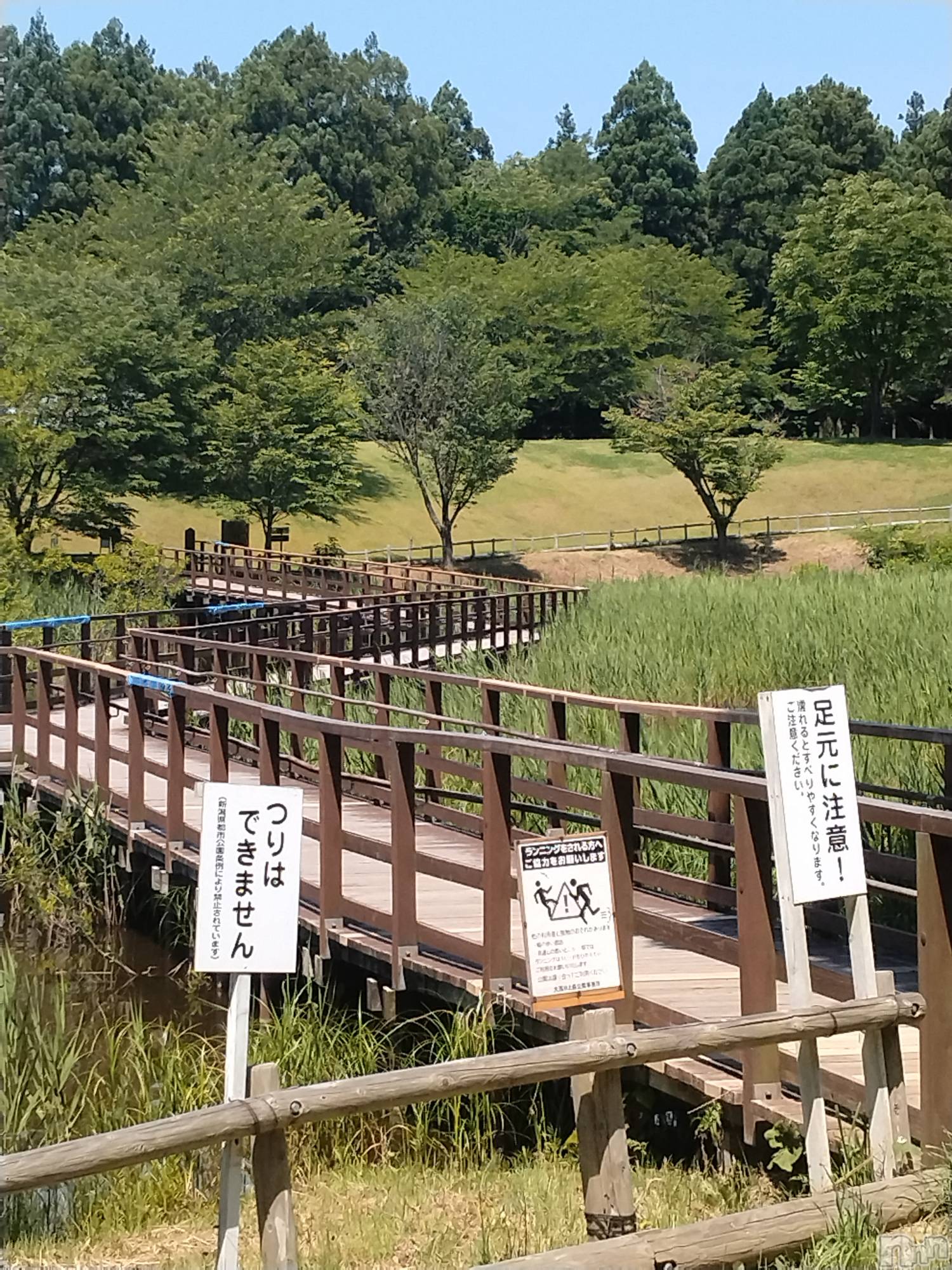 長岡デリヘル人妻楼　長岡店(ヒトヅマロウ　ナガオカテン)なな(43)の2026年6月18日写メブログ「今日公園内で」