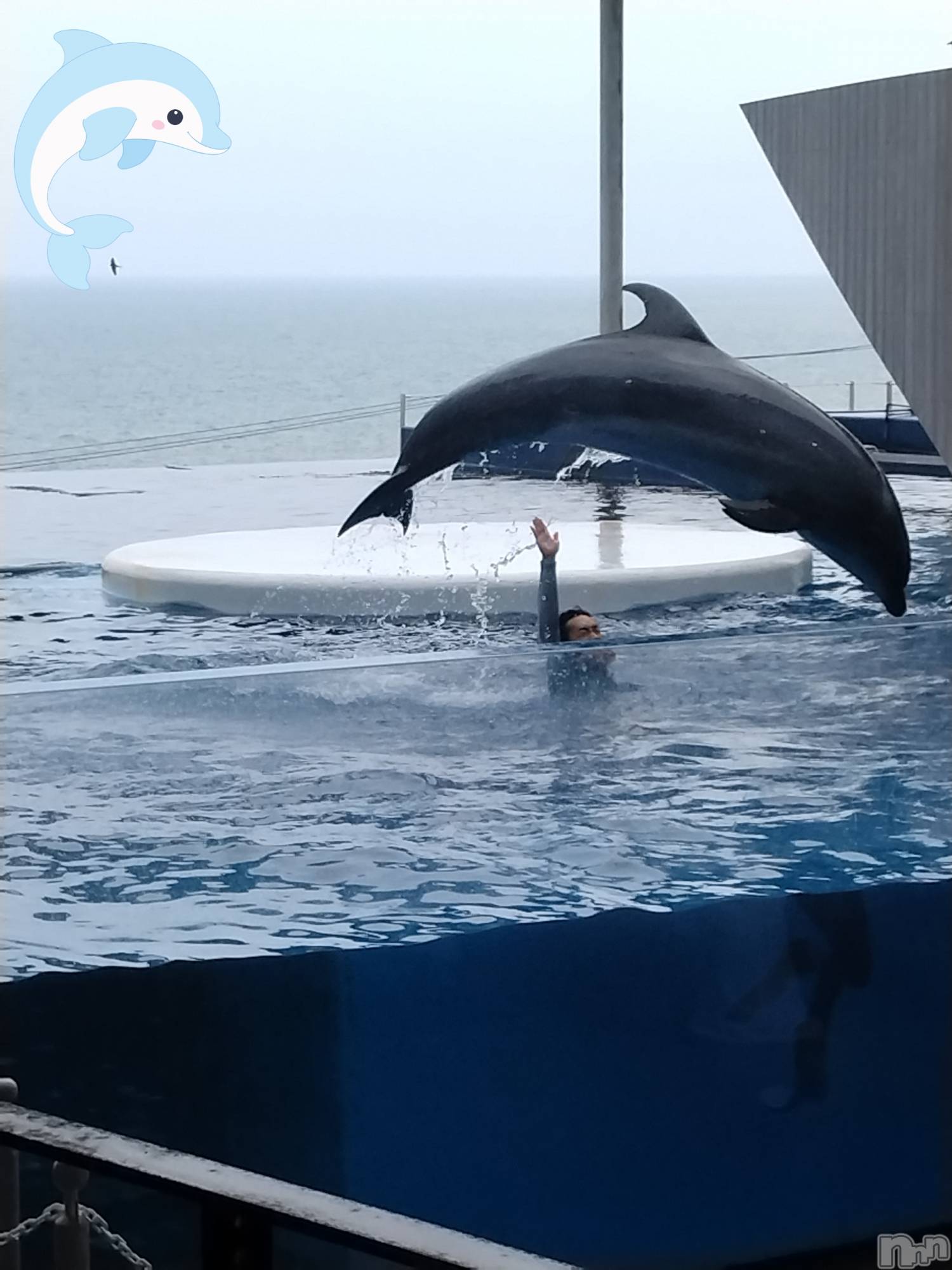 長岡デリヘル人妻楼　長岡店(ヒトヅマロウ　ナガオカテン)なな(43)の2026年8月2日写メブログ「駐車場も満車！」