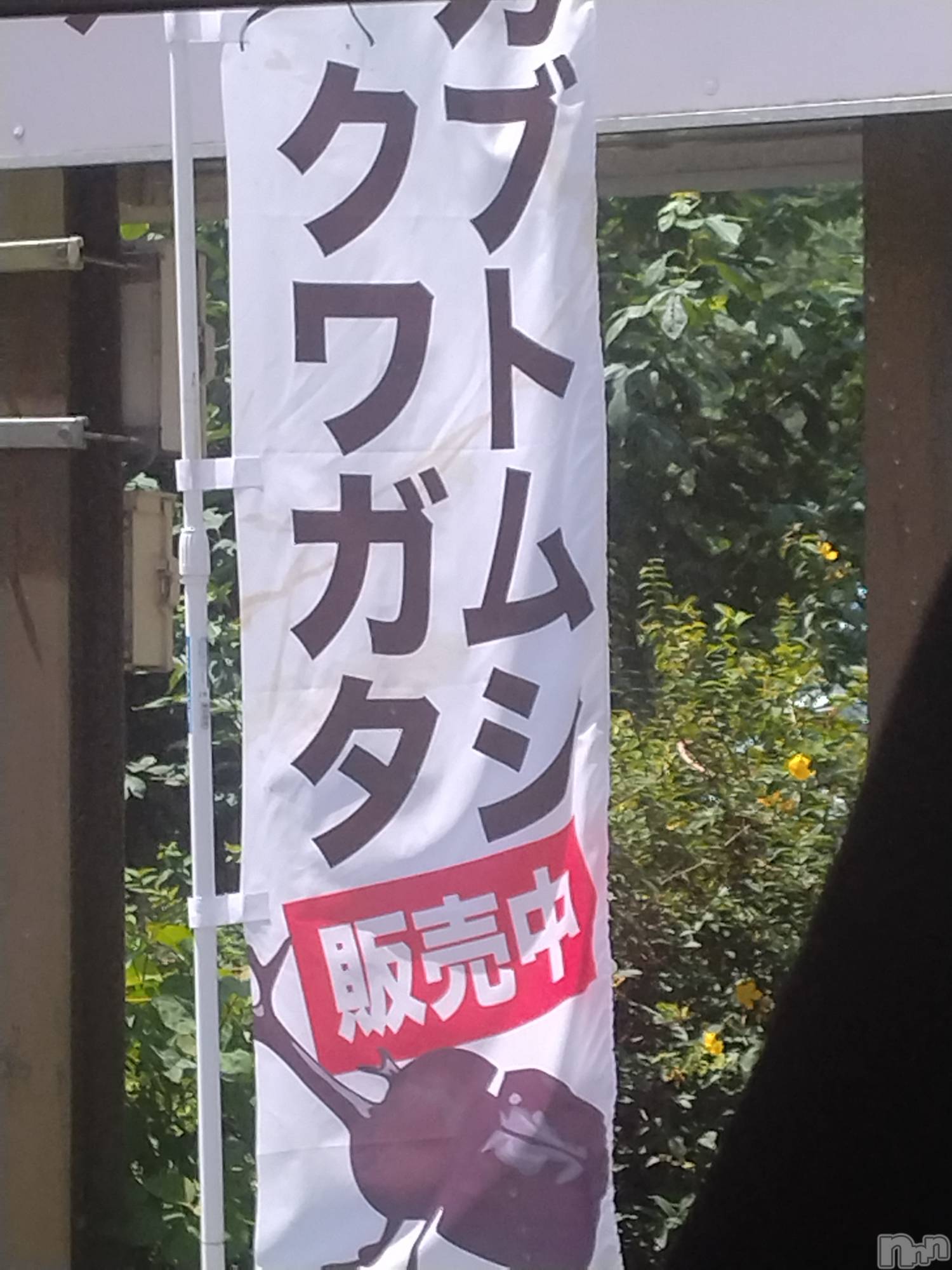 長岡デリヘル人妻楼　長岡店(ヒトヅマロウ　ナガオカテン)なな(43)の2026年8月6日写メブログ「これ道の駅に…」