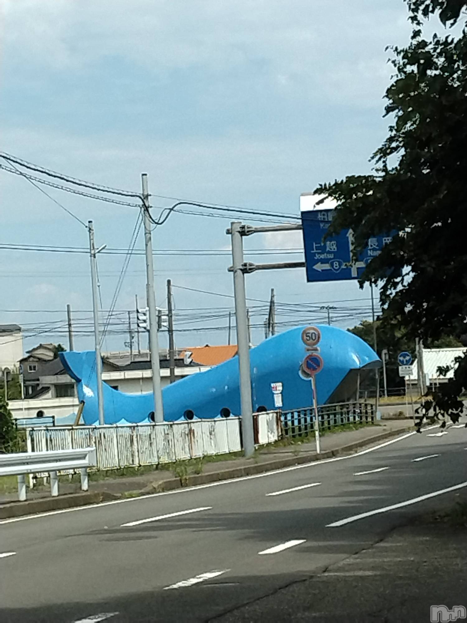 長岡デリヘル人妻楼　長岡店(ヒトヅマロウ　ナガオカテン)なな(43)の2026年8月19日写メブログ「通行止め」