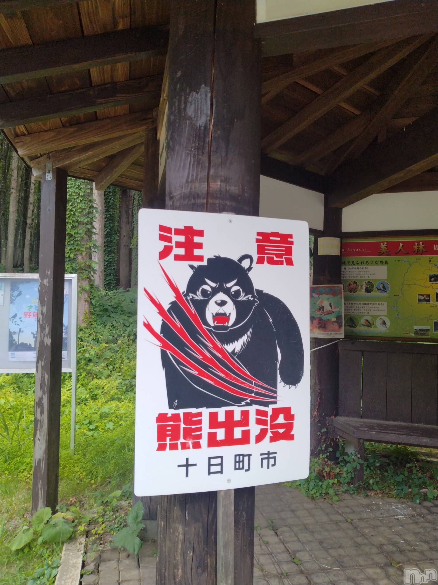 長岡デリヘル人妻楼　長岡店(ヒトヅマロウ　ナガオカテン)なな(43)の2026年8月23日写メブログ「先日出かけた場所」