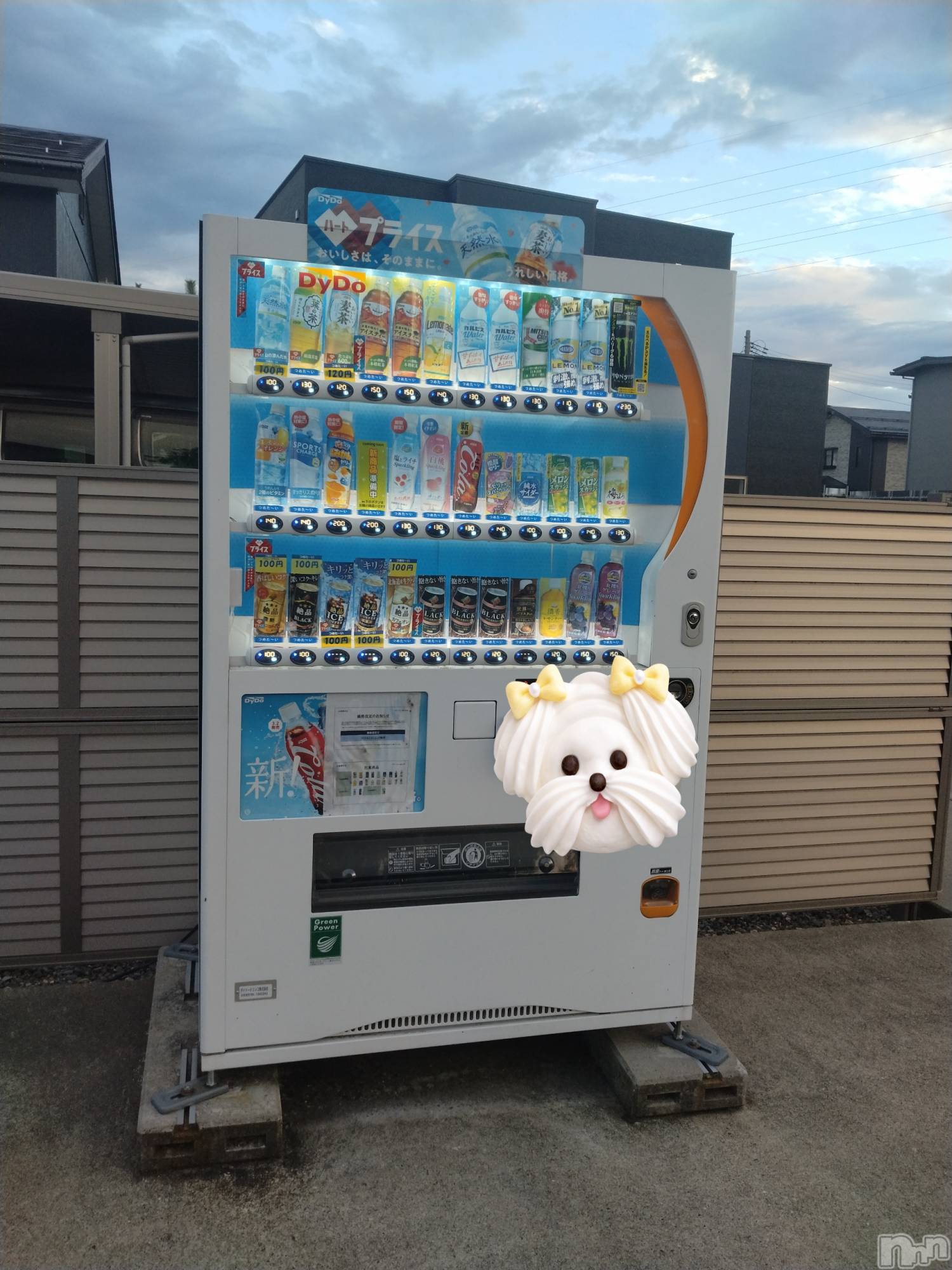 長岡デリヘル人妻楼　長岡店(ヒトヅマロウ　ナガオカテン)なな(43)の2026年8月23日写メブログ「自販機」