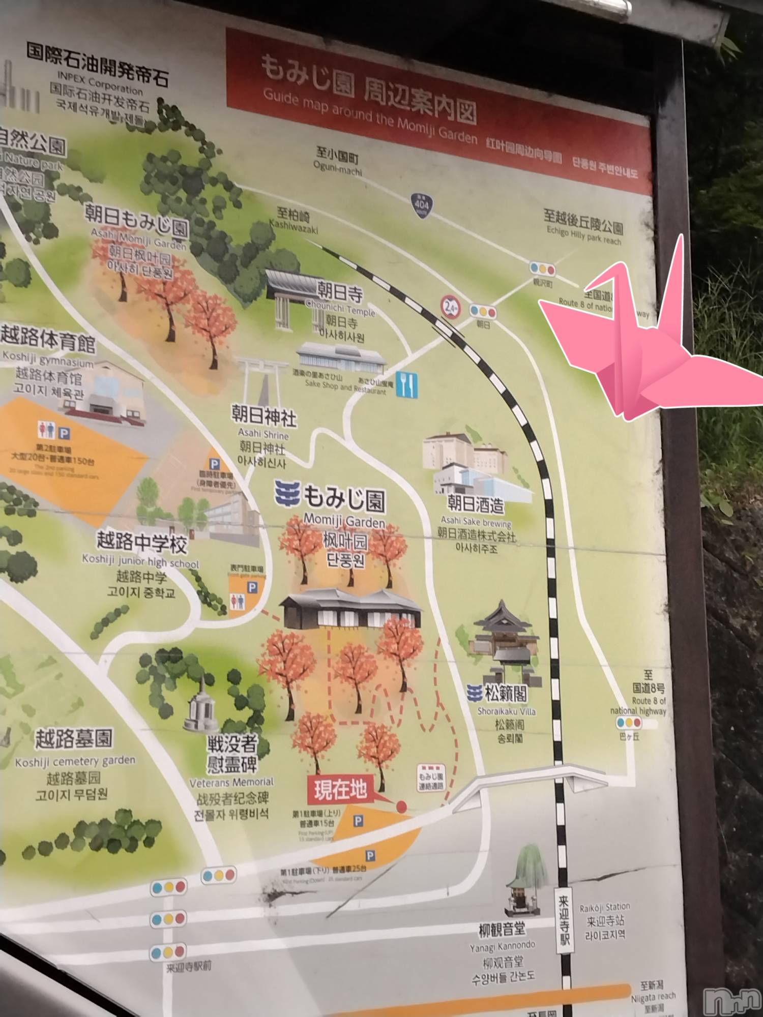 長岡デリヘル人妻楼　長岡店(ヒトヅマロウ　ナガオカテン)なな(43)の2026年9月29日写メブログ「越路」