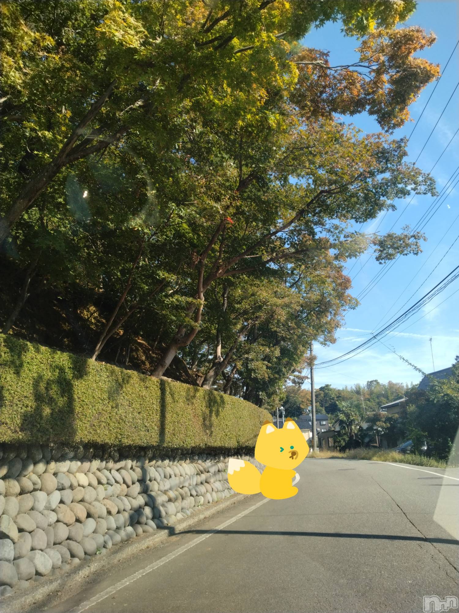 長岡デリヘル人妻楼　長岡店(ヒトヅマロウ　ナガオカテン)なな(43)の2026年10月12日写メブログ「赤坂山」