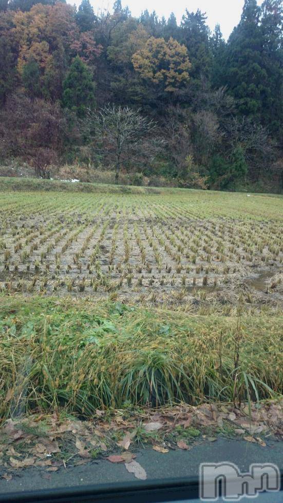 長岡デリヘル人妻楼　長岡店(ヒトヅマロウ　ナガオカテン)なな(43)の2017年11月26日写メブログ「なな、現場に戻る」