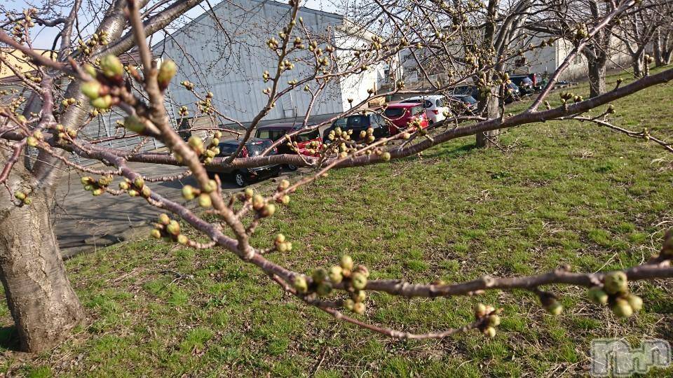 長岡デリヘル人妻楼　長岡店(ヒトヅマロウ　ナガオカテン)なな(43)の2018年3月29日写メブログ「こーんな感じ」