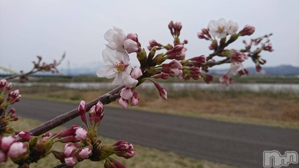 長岡デリヘル人妻楼　長岡店(ヒトヅマロウ　ナガオカテン)なな(43)の2018年4月1日写メブログ「こんなかんぢで」
