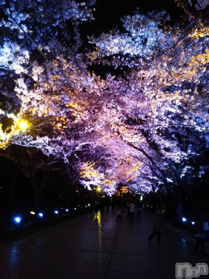 長岡デリヘル人妻楼　長岡店(ヒトヅマロウ　ナガオカテン)なな(43)の2018年4月10日写メブログ「今日の高田公園」