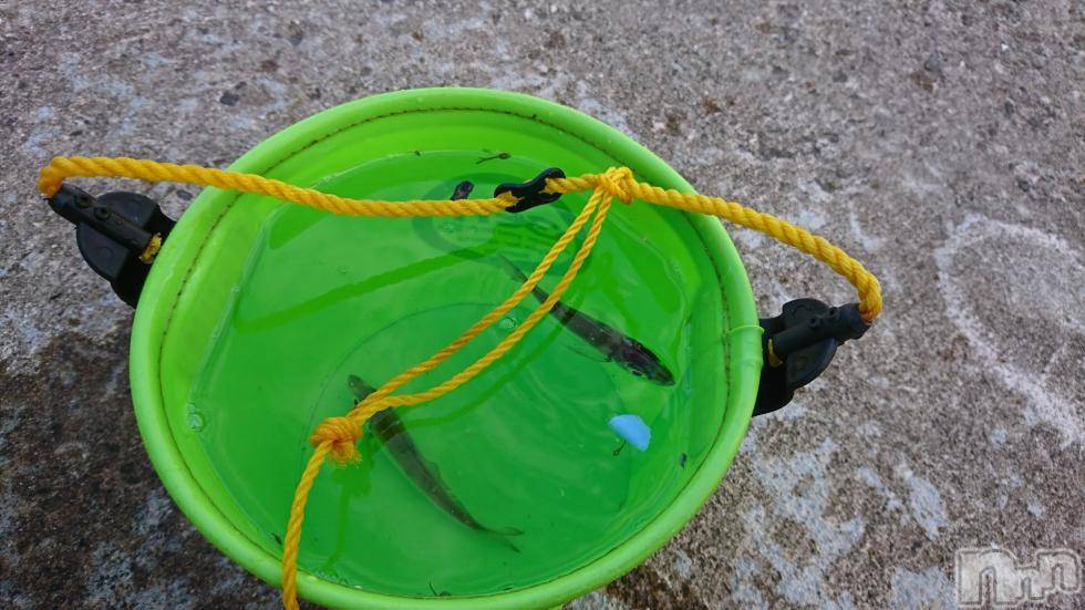 長岡デリヘル人妻楼　長岡店(ヒトヅマロウ　ナガオカテン)なな(43)の2018年11月3日写メブログ「釣りに来ました。」