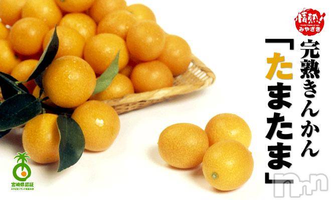 長岡デリヘル人妻楼　長岡店(ヒトヅマロウ　ナガオカテン)なな(43)の2019年3月1日写メブログ「たまたま！いい♡」