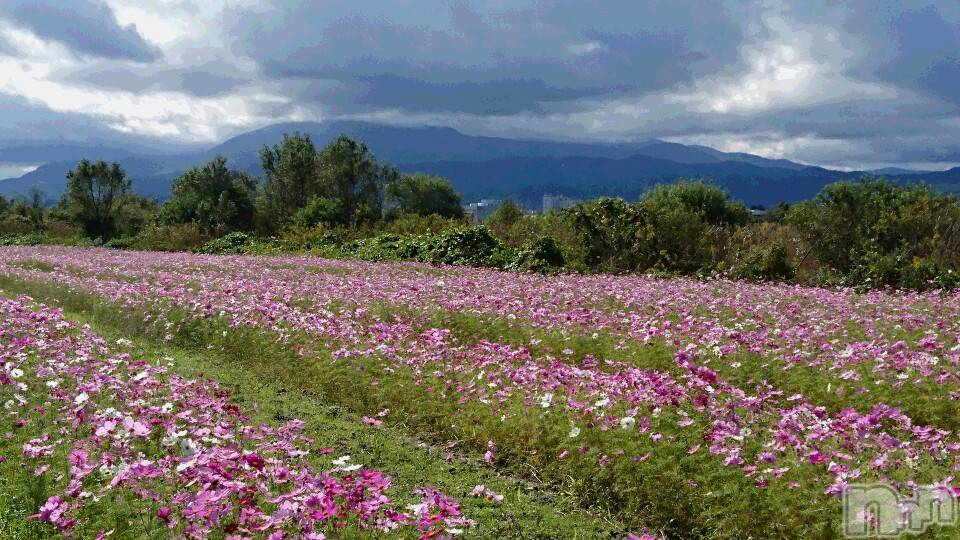 長岡デリヘル人妻楼　長岡店(ヒトヅマロウ　ナガオカテン)なな(43)の2019年10月23日写メブログ「満開でしたー！」