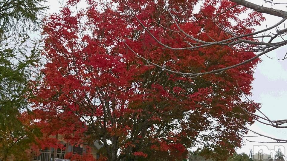 長岡デリヘル人妻楼　長岡店(ヒトヅマロウ　ナガオカテン)なな(43)の2019年11月4日写メブログ「今日わたしはー」