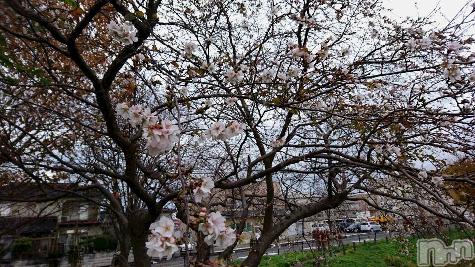 長岡デリヘル人妻楼　長岡店(ヒトヅマロウ　ナガオカテン)なな(43)の2019年11月30日写メブログ「ほんの一瞬だけ！」