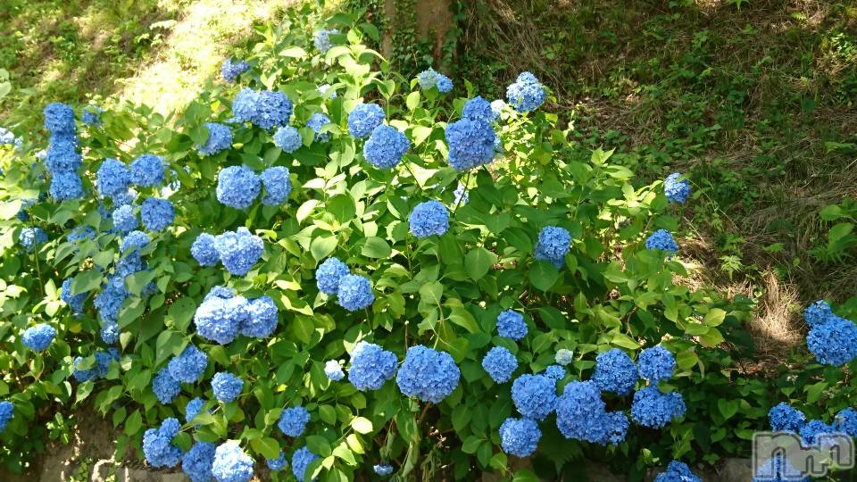 長岡デリヘル人妻楼　長岡店(ヒトヅマロウ　ナガオカテン)なな(43)の2020年6月24日写メブログ「追加」