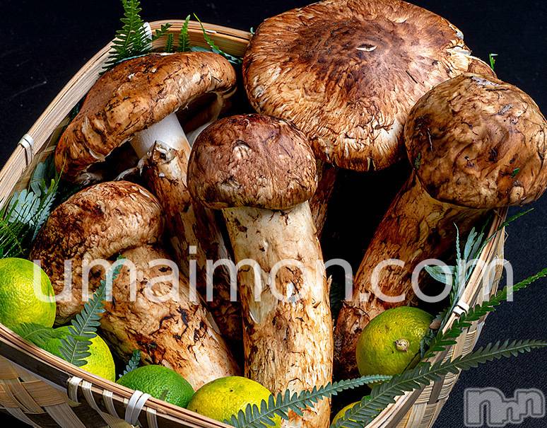 長岡デリヘル人妻楼　長岡店(ヒトヅマロウ　ナガオカテン)なな(43)の2020年10月13日写メブログ「やはり似てる」