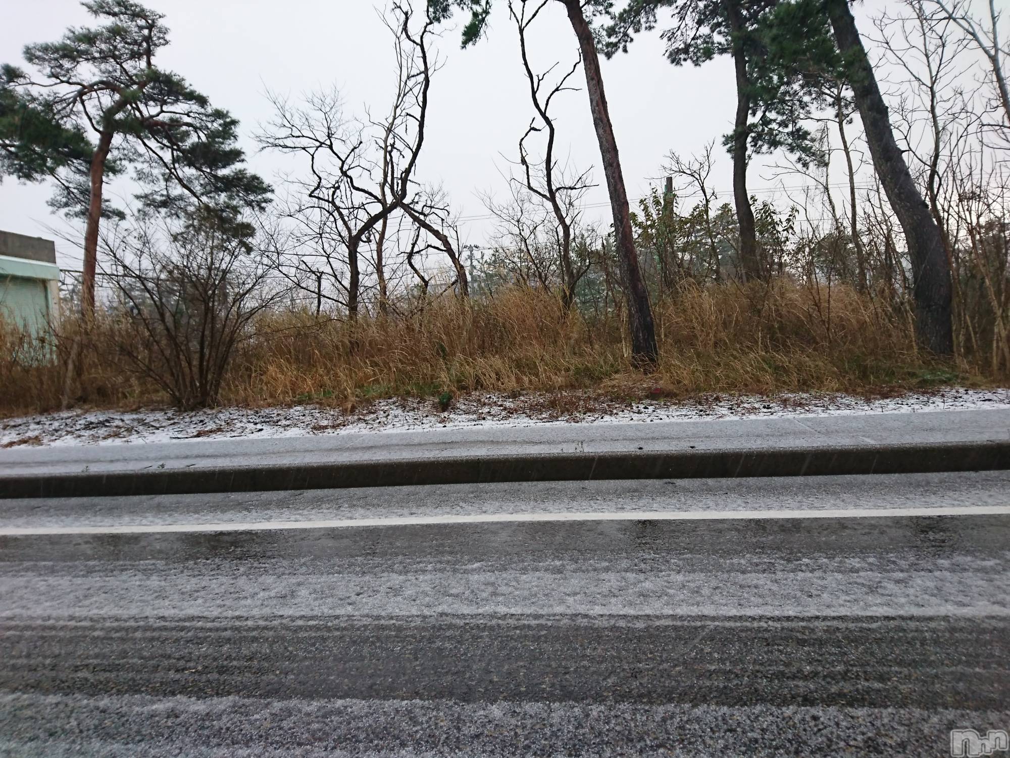 長岡デリヘル人妻楼　長岡店(ヒトヅマロウ　ナガオカテン)なな(43)の2021年12月2日写メブログ「国道８号線が～」