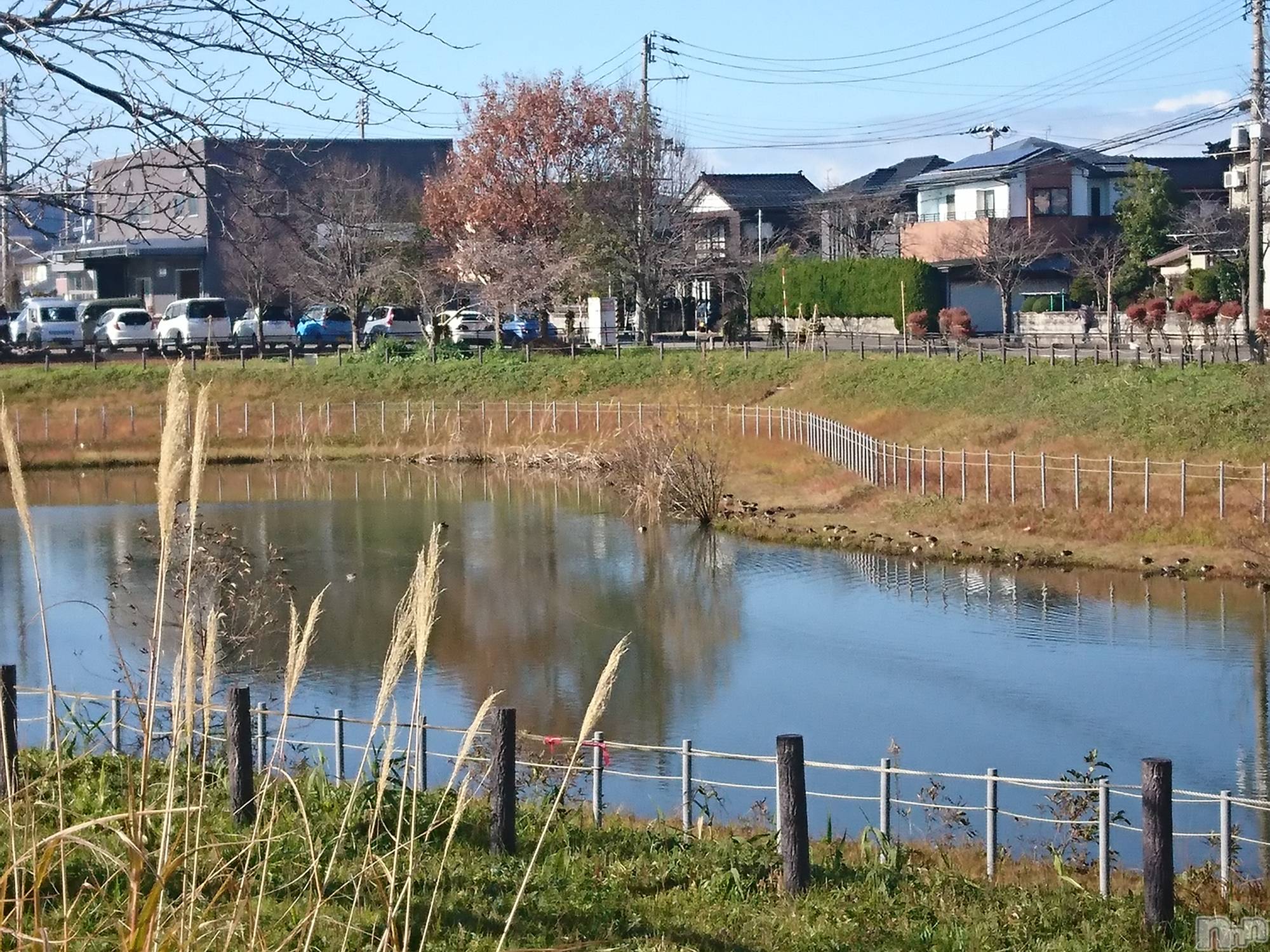 長岡デリヘル人妻楼　長岡店(ヒトヅマロウ　ナガオカテン)なな(43)の2021年12月9日写メブログ「近所まで」