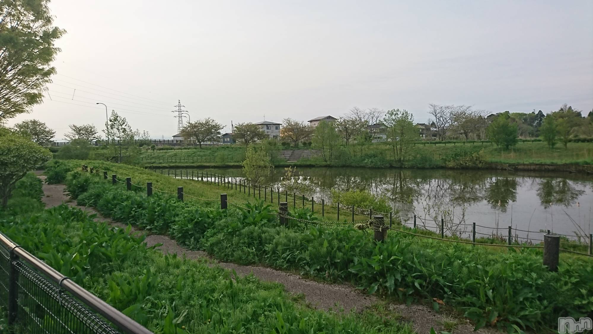 長岡デリヘル人妻楼　長岡店(ヒトヅマロウ　ナガオカテン)なな(43)の2022年4月25日写メブログ「家の近所を」