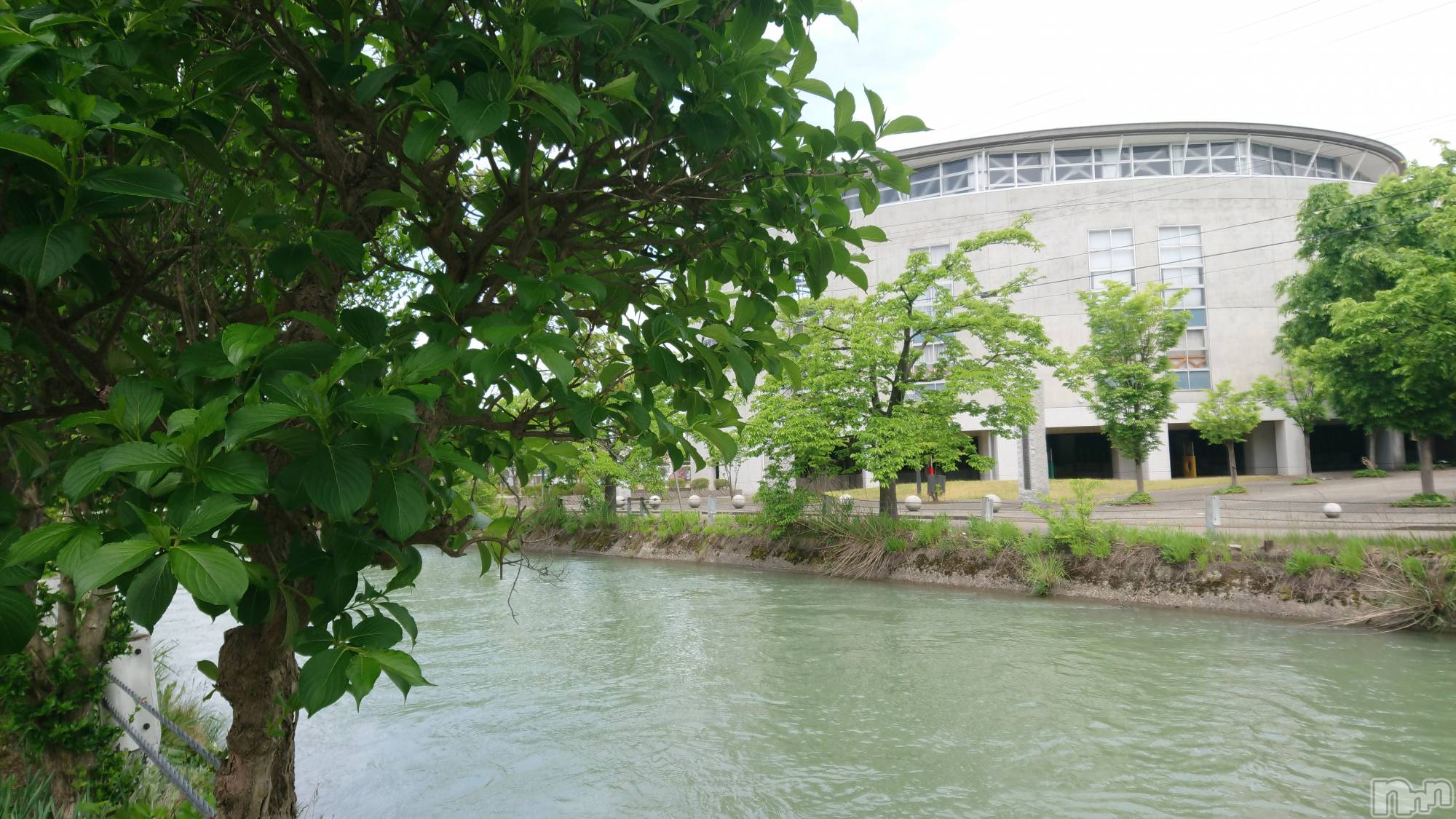 長岡デリヘル人妻楼　長岡店(ヒトヅマロウ　ナガオカテン)なな(43)の2022年5月11日写メブログ「こんにち(^_^)！」
