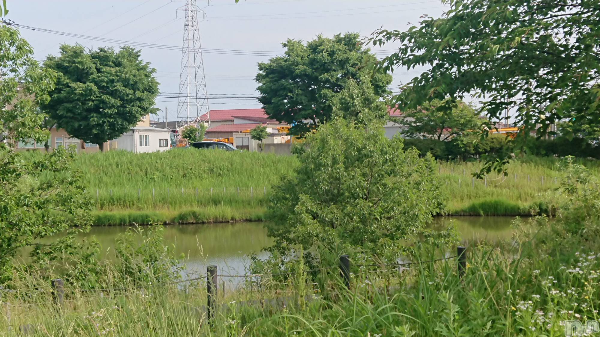 長岡人妻デリヘル人妻楼　長岡店(ヒトヅマロウ　ナガオカテン)なな(43)の2022年6月5日写メブログ「近所のポストまで」