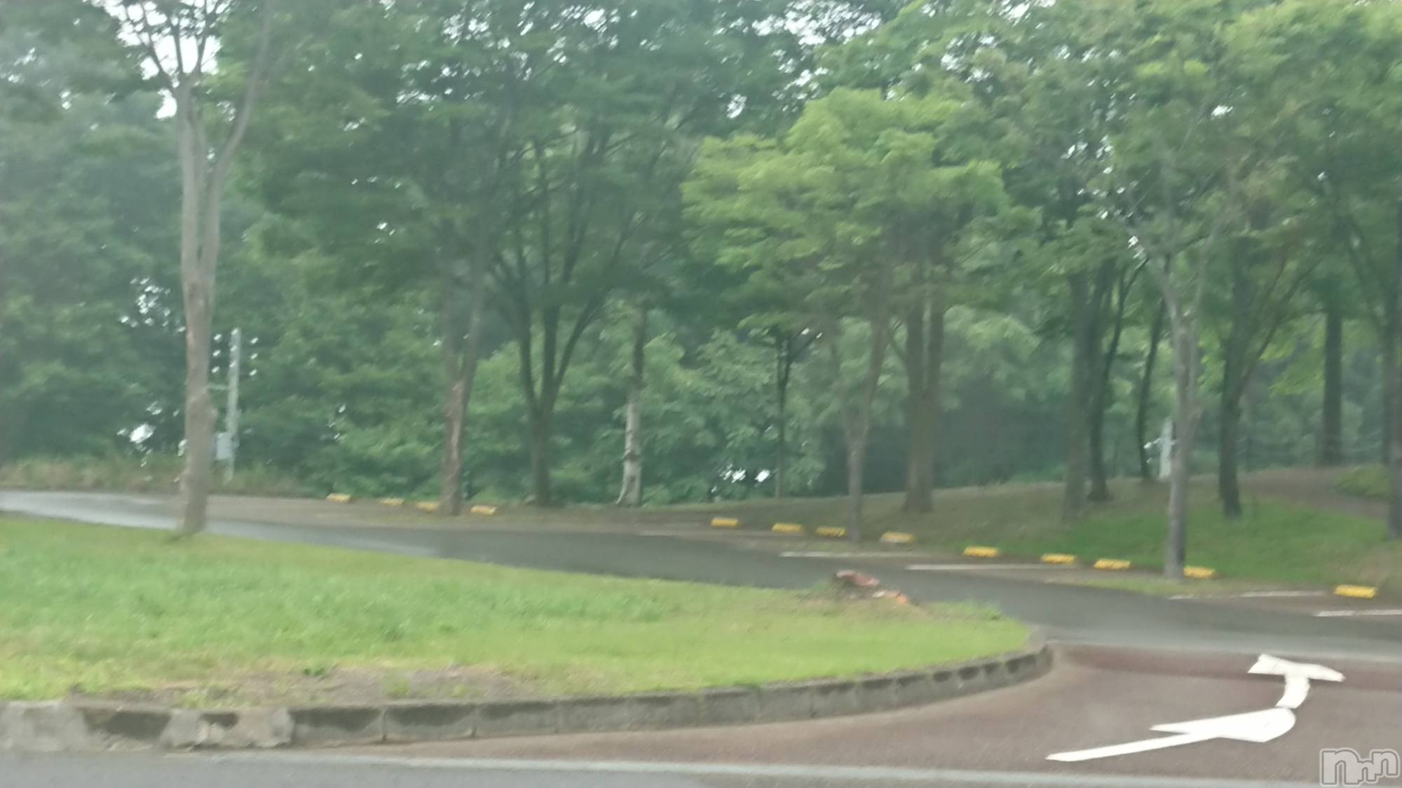 長岡デリヘル人妻楼　長岡店(ヒトヅマロウ　ナガオカテン)なな(43)の2022年6月17日写メブログ「糸魚川の・・」