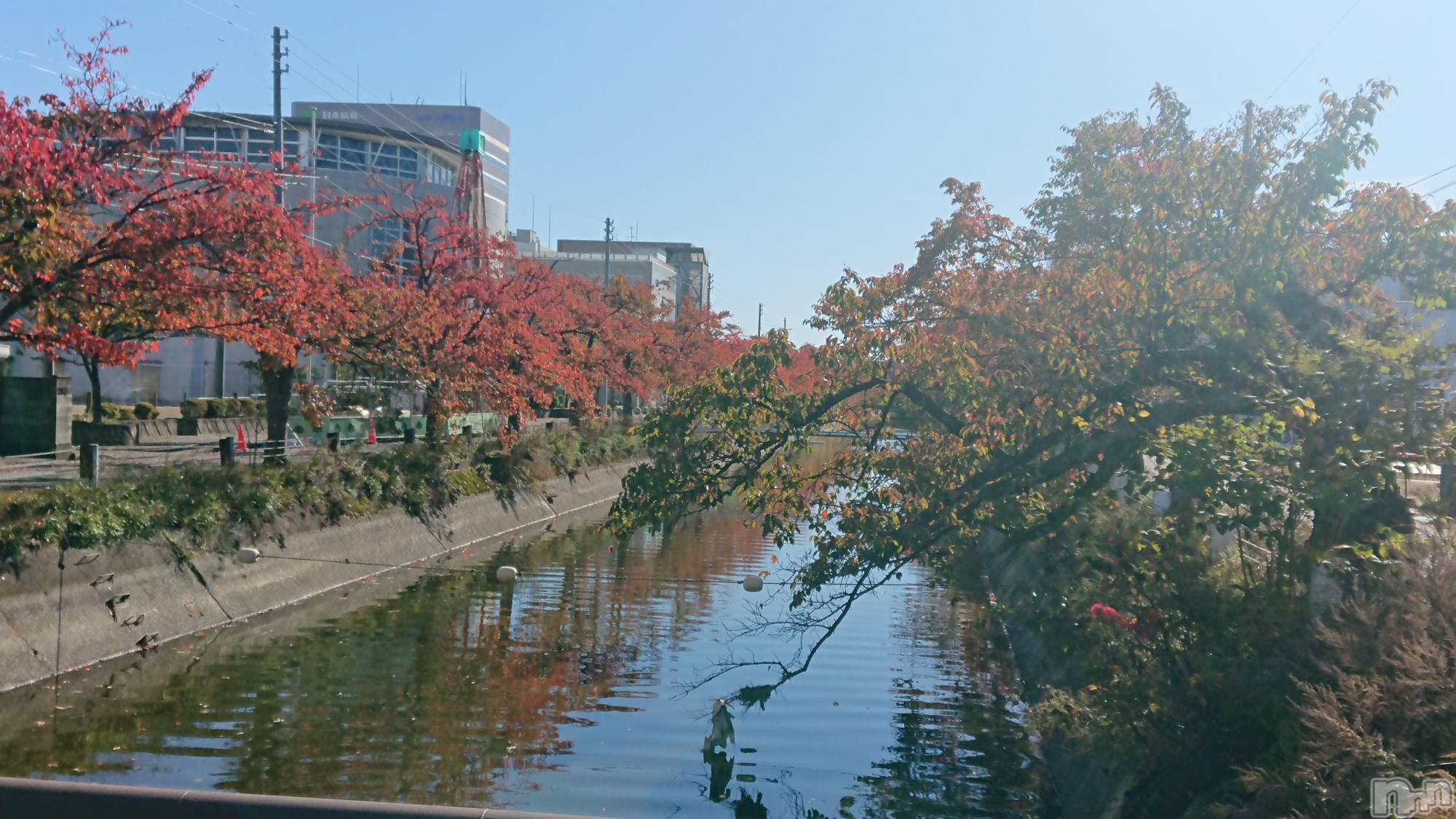 長岡デリヘル人妻楼　長岡店(ヒトヅマロウ　ナガオカテン)なな(43)の2022年10月31日写メブログ「長岡の駅の」