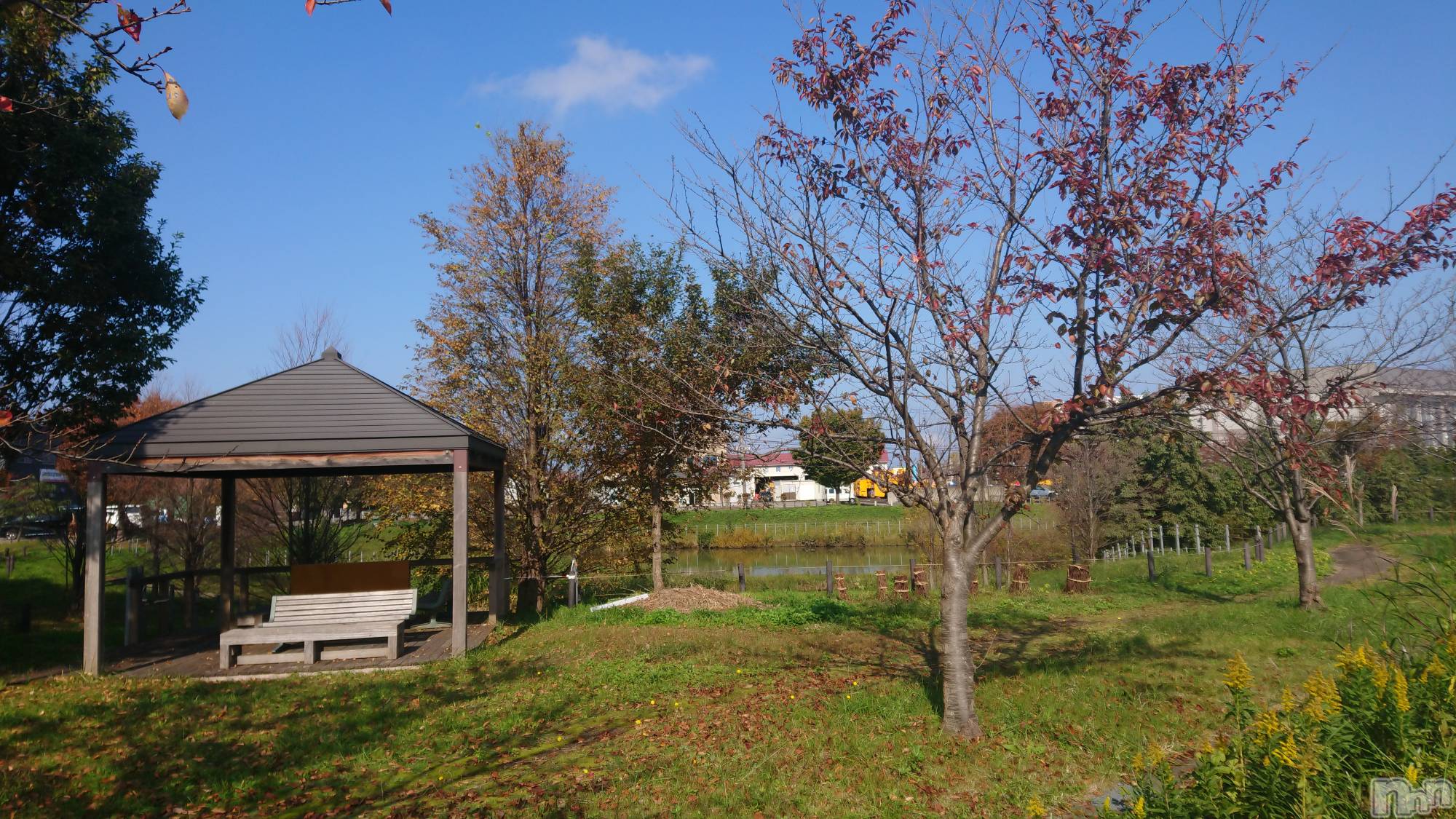 長岡デリヘル人妻楼　長岡店(ヒトヅマロウ　ナガオカテン)なな(43)の2022年11月17日写メブログ「雪ふったね！」