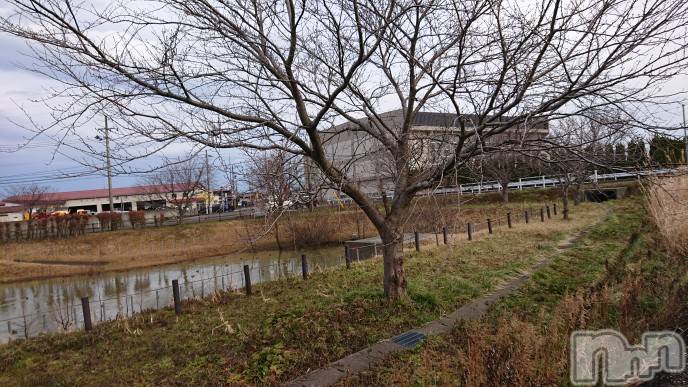 長岡デリヘル人妻楼　長岡店(ヒトヅマロウ　ナガオカテン)なな(43)の2023年1月24日写メブログ「上越と中越で・・」