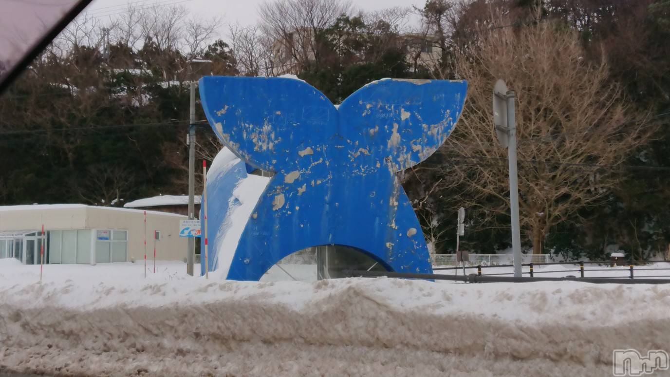 長岡デリヘル人妻楼　長岡店(ヒトヅマロウ　ナガオカテン)なな(43)の2023年1月31日写メブログ「くじらなみ🐳」