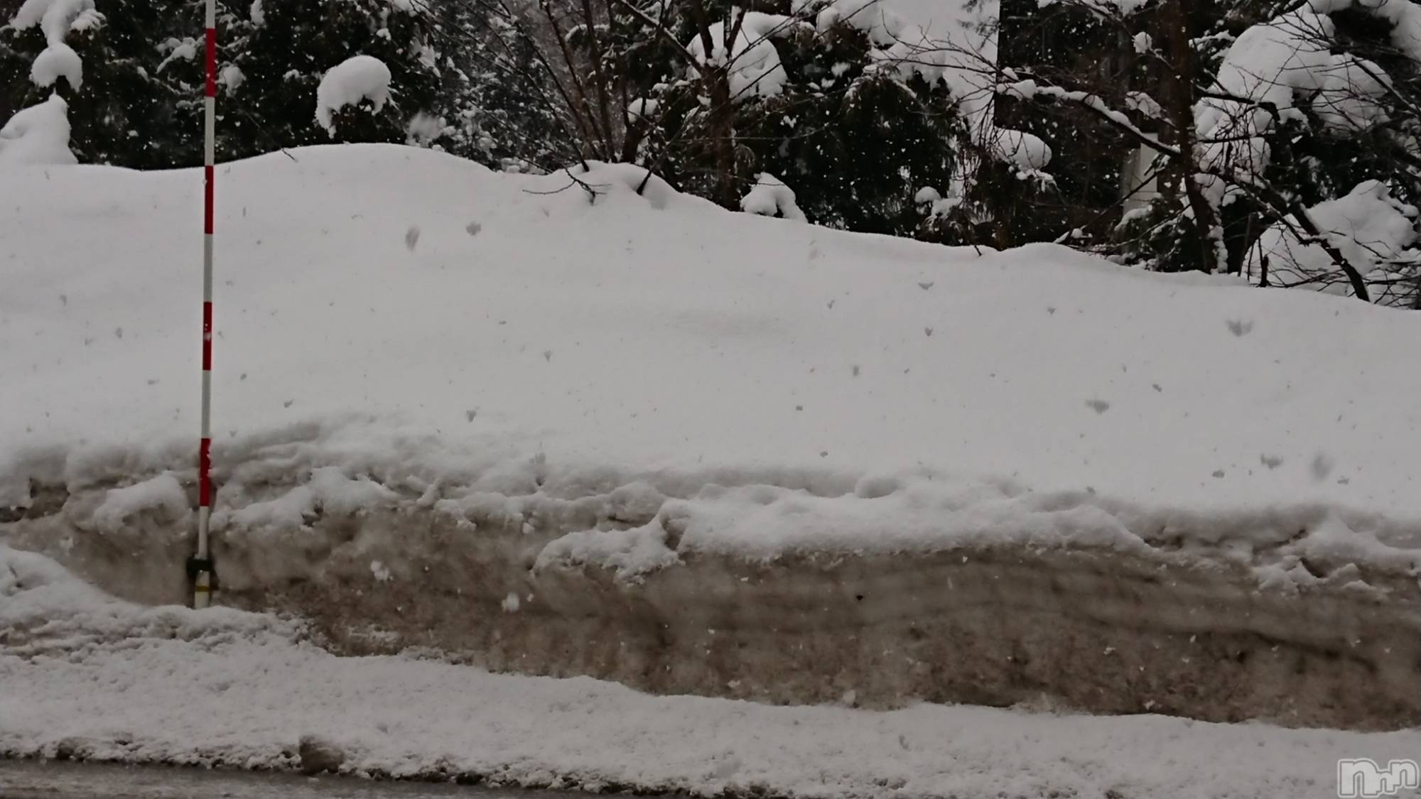 長岡デリヘル人妻楼　長岡店(ヒトヅマロウ　ナガオカテン)なな(43)の2023年2月10日写メブログ「妙高インター付近」