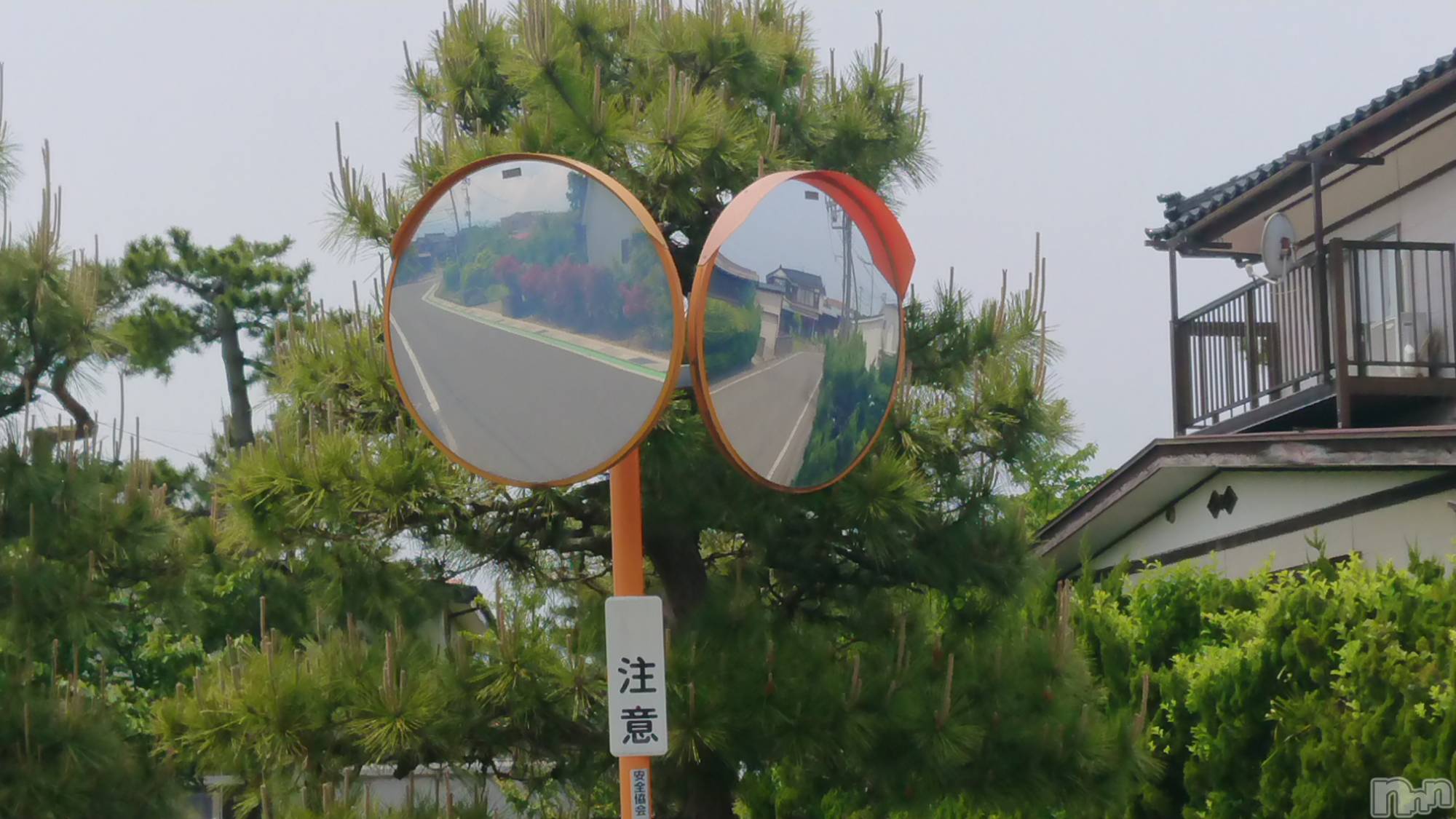 長岡デリヘル人妻楼　長岡店(ヒトヅマロウ　ナガオカテン)なな(43)の2023年5月13日写メブログ「近所のカーブミラー！」