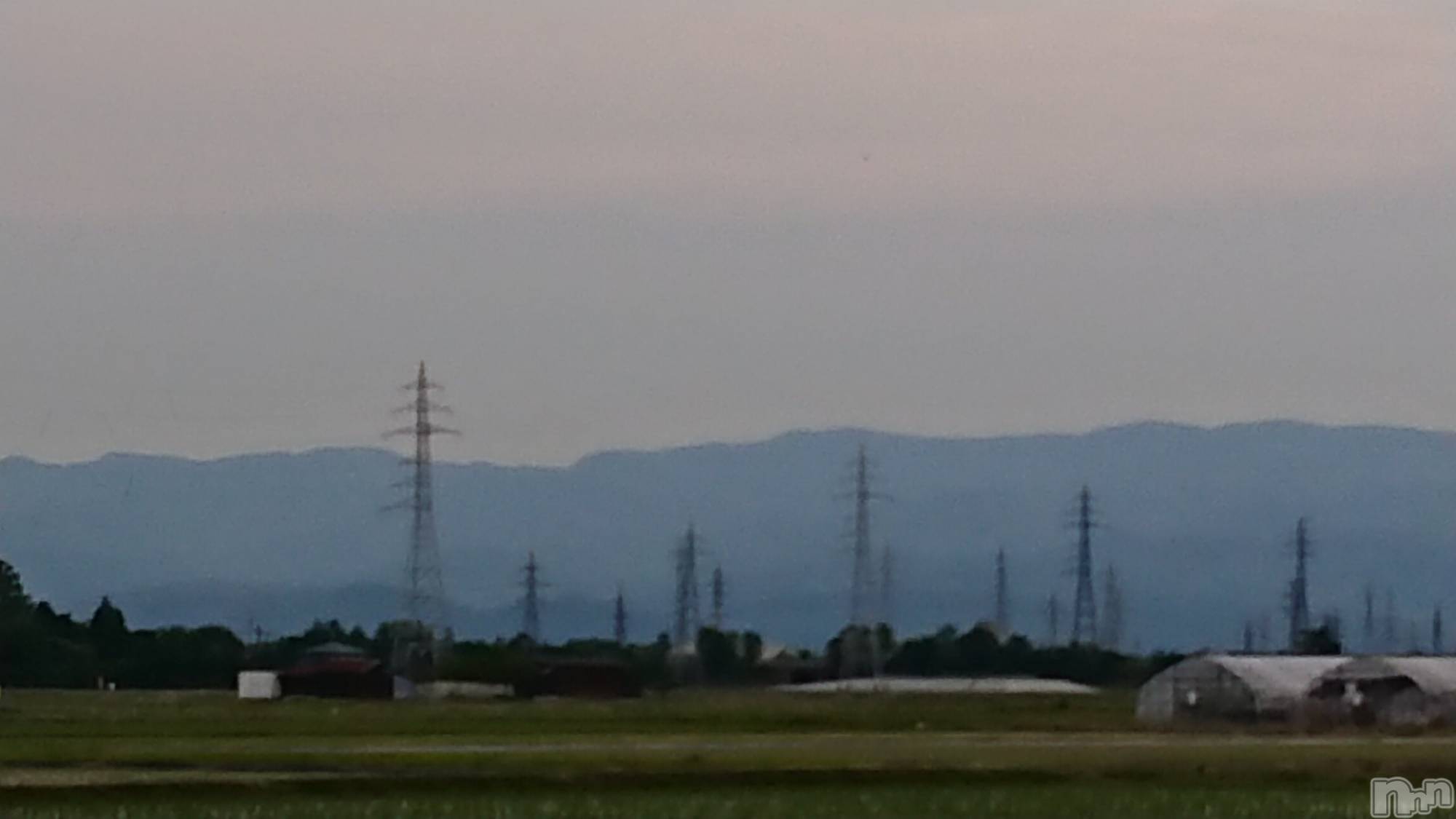 長岡デリヘル人妻楼　長岡店(ヒトヅマロウ　ナガオカテン)なな(43)の2023年6月1日写メブログ「鳴き声がする！」