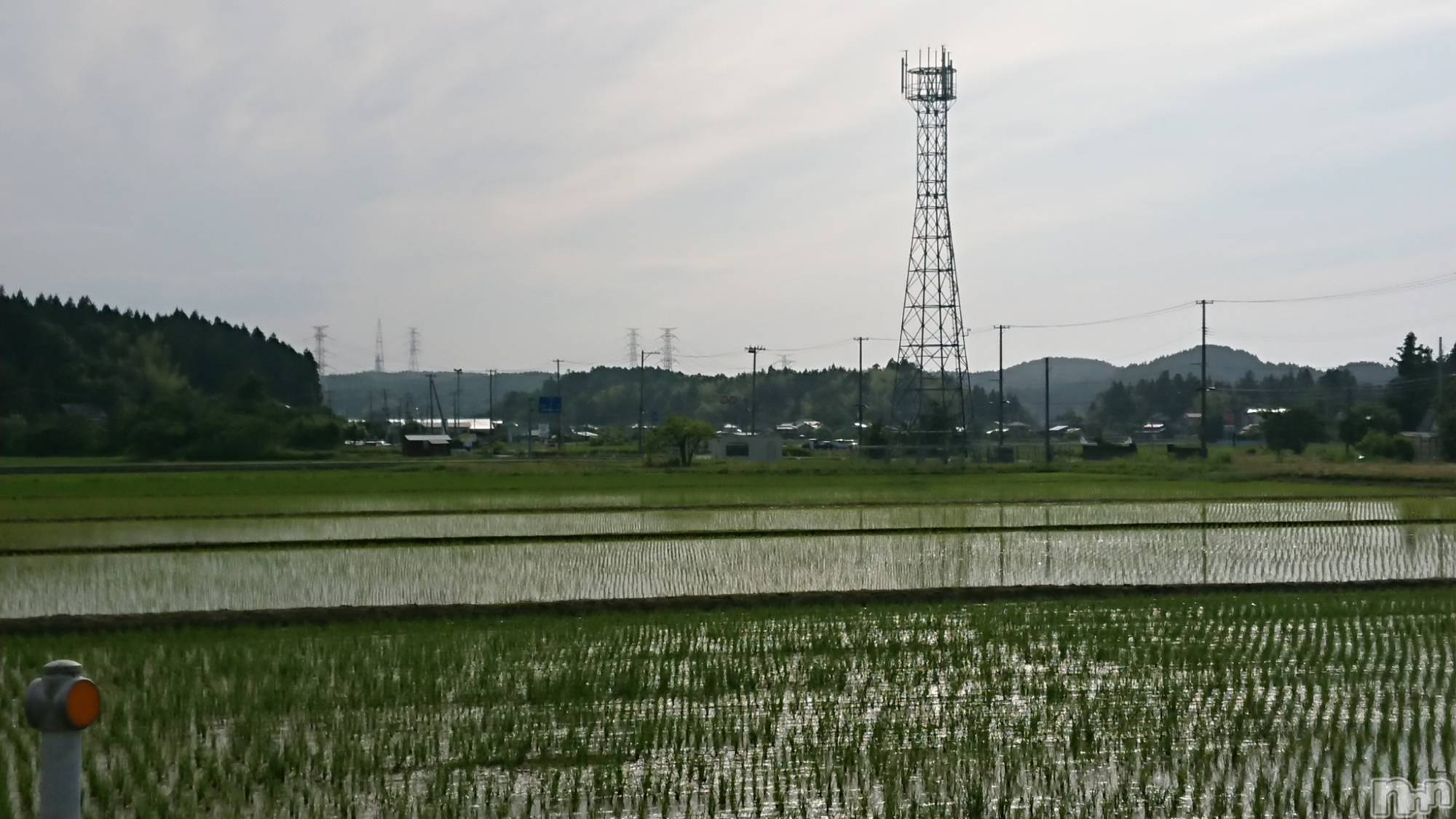 長岡デリヘル人妻楼　長岡店(ヒトヅマロウ　ナガオカテン)なな(43)の2023年6月5日写メブログ「西山にて」