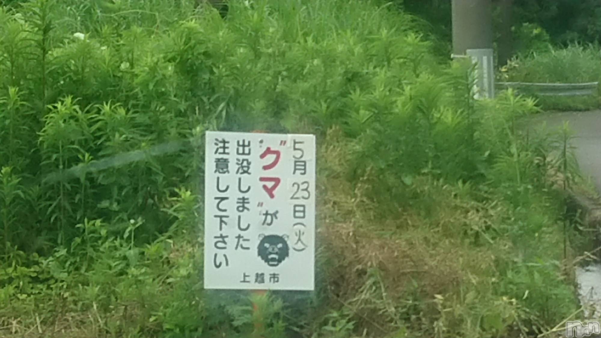 長岡人妻デリヘル人妻楼　長岡店(ヒトヅマロウ　ナガオカテン)なな(43)の2023年6月16日写メブログ「クマがでた！」
