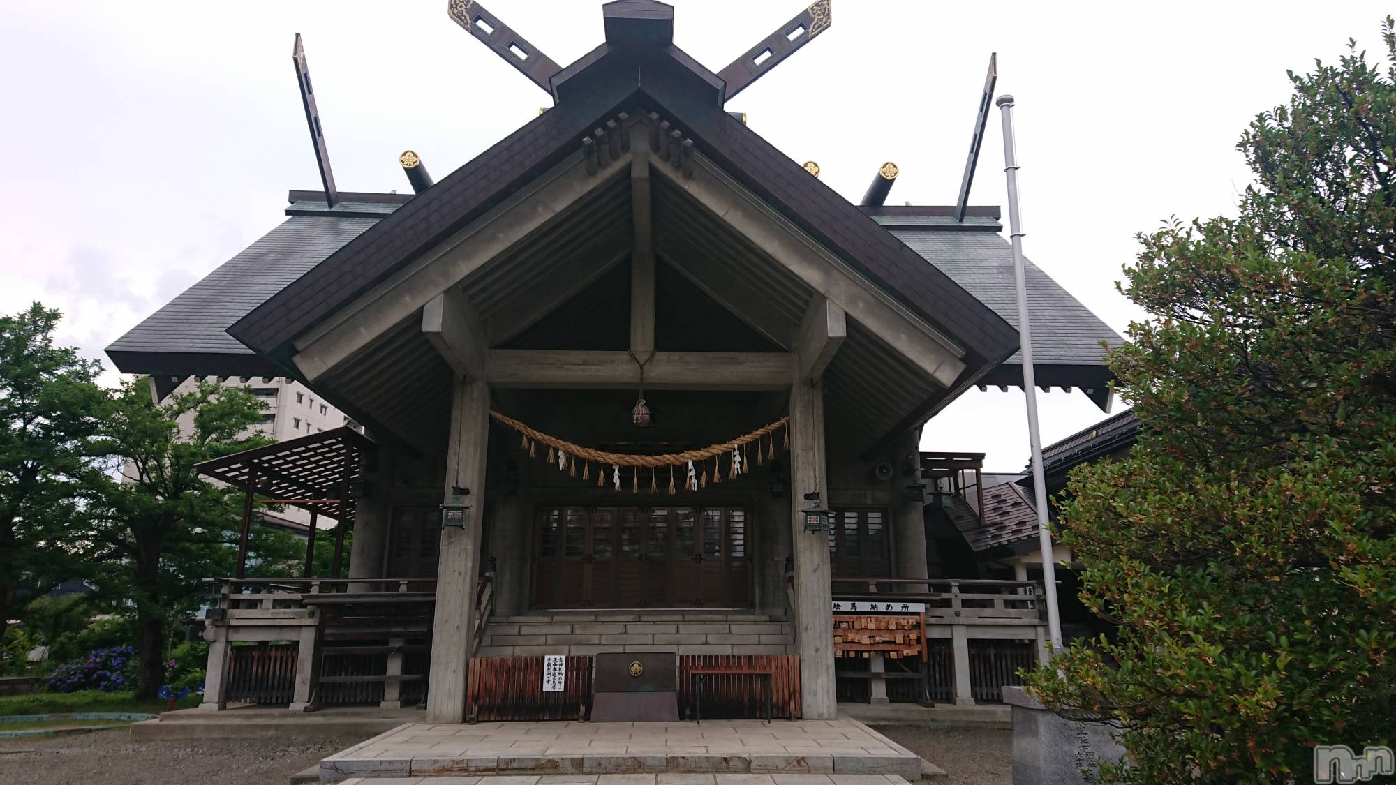長岡人妻デリヘル人妻楼　長岡店(ヒトヅマロウ　ナガオカテン)なな(43)の2023年6月21日写メブログ「ここは何度か」