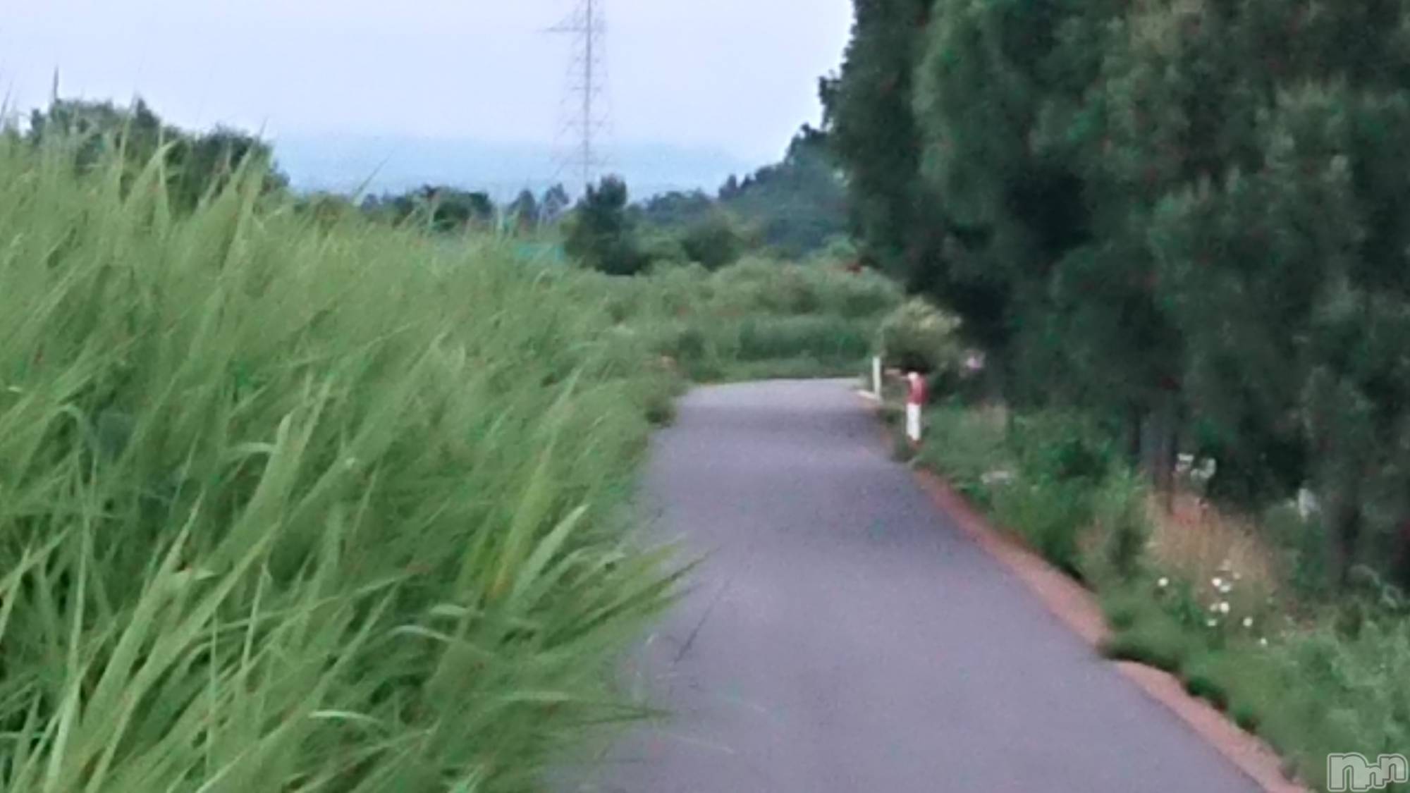 長岡人妻デリヘル人妻楼　長岡店(ヒトヅマロウ　ナガオカテン)なな(43)の2023年6月26日写メブログ「伸びてる！」