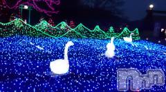 長岡デリヘル人妻楼　長岡店(ヒトヅマロウ　ナガオカテン) なな(43)の12月14日写メブログ「イルミ」