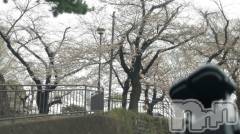 長岡デリヘル人妻楼　長岡店(ヒトヅマロウ　ナガオカテン) なな(43)の4月5日写メブログ「ハチブザキノサクラ」