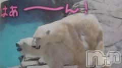 長岡デリヘル人妻楼　長岡店(ヒトヅマロウ　ナガオカテン) なな(43)の9月17日写メブログ「もっと激しくー！(&nbsp;〃▽〃)」